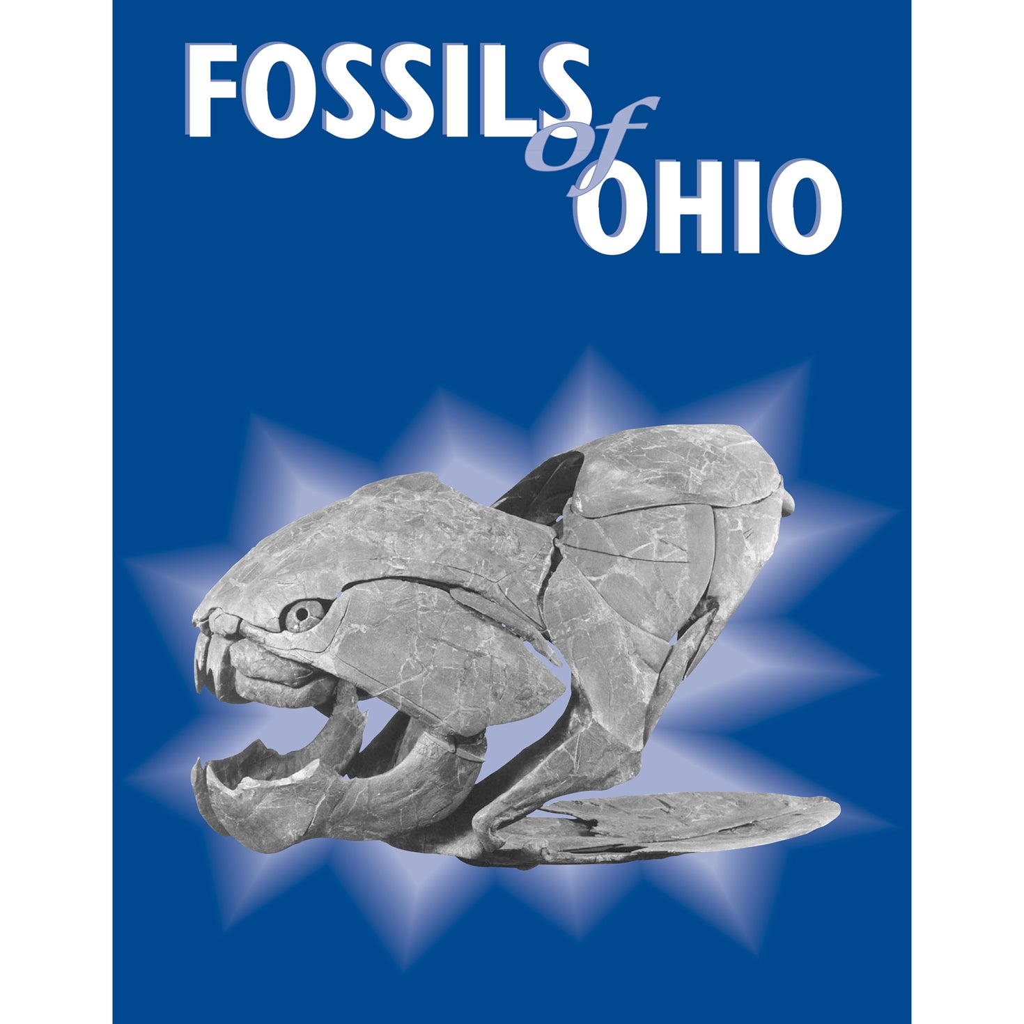 fossils-of-ohio-ohio-department-of-natural-resources